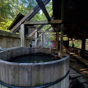 oregon hot springs