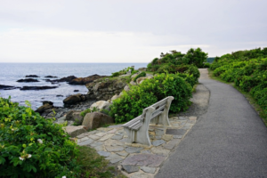 things to do in ogunquit maine