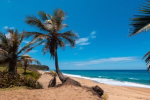 Best Beaches In Puerto Rico