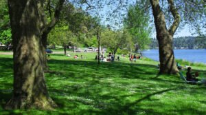 Best Parks In Seattle