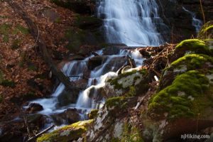 Worthington State Forest Waterfall / Laurel Falls