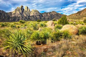 Things To Do In Las Cruces NM